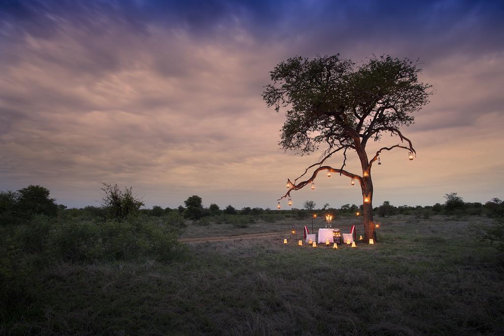 Tanda Tula Safari Camp Villa Timbavati Game Reserve Luaran gambar